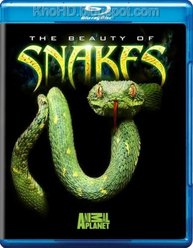 Beauty.of.Snake+720p+KhoHD.blogspot+%283%29%281%29  .jpg